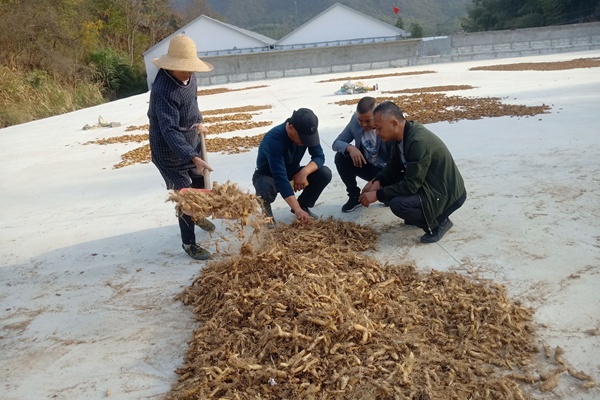 棠溪鎮雙合村：切實發揮人大代表在鄉村振興工作中的作用.jpg