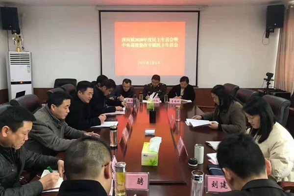 唐田鎮(zhèn)召開2020年度民主生活會暨.jpg