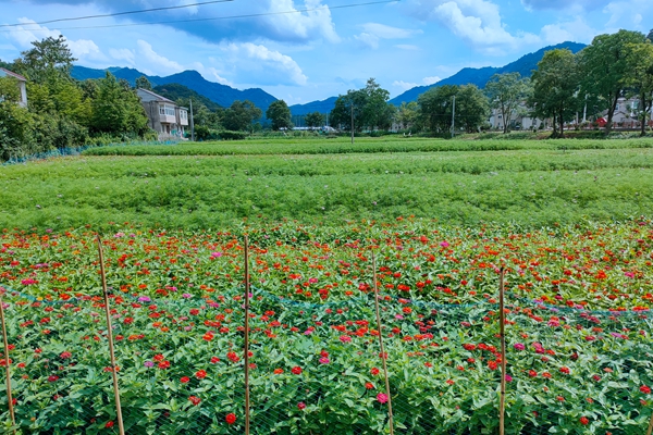 花田施工??(1).jpg